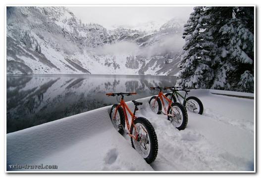  Чемпіонат України з велоспорту на треку. Фото