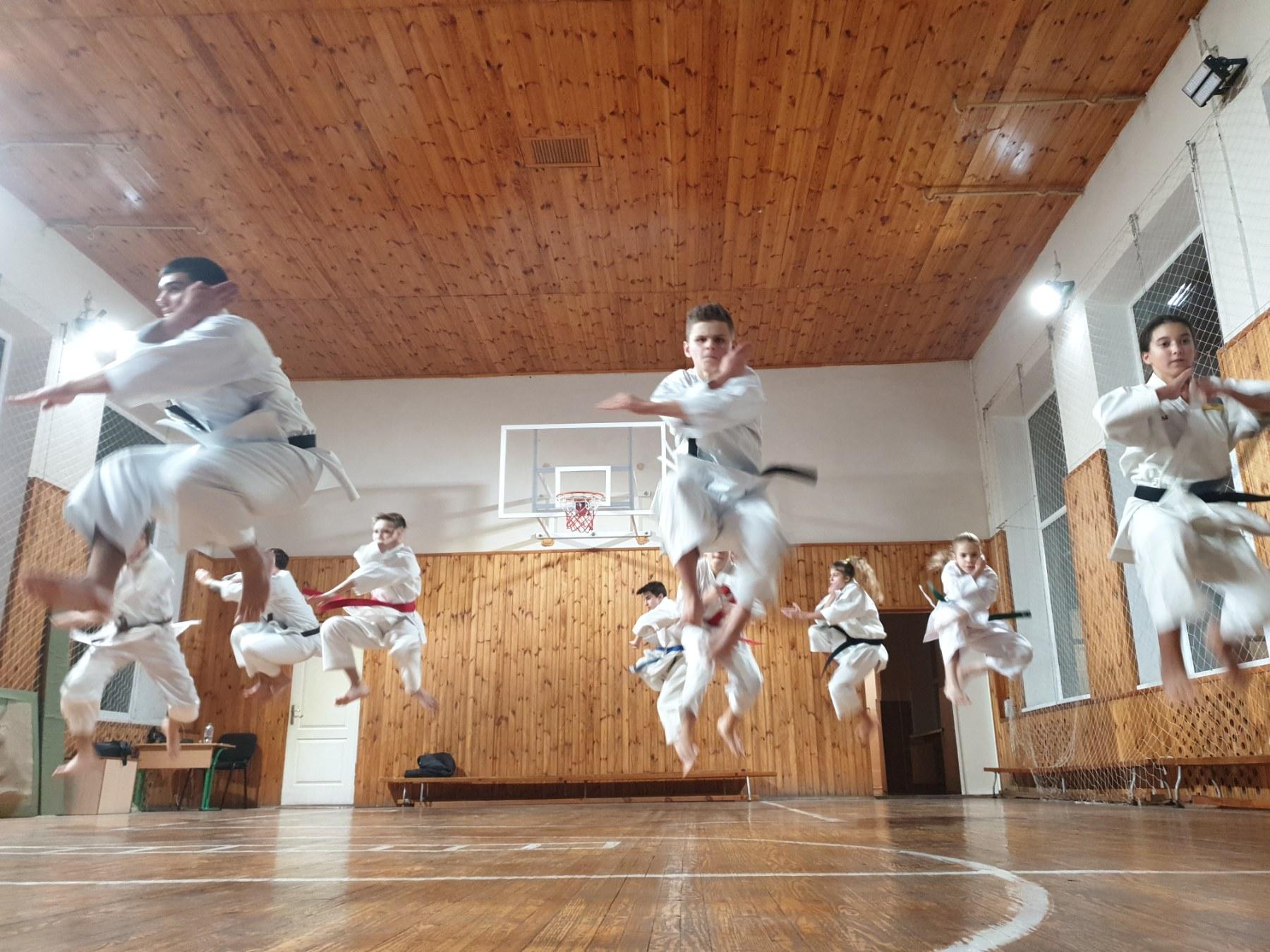 Семінарське тренування з шотокан карате-до. фото