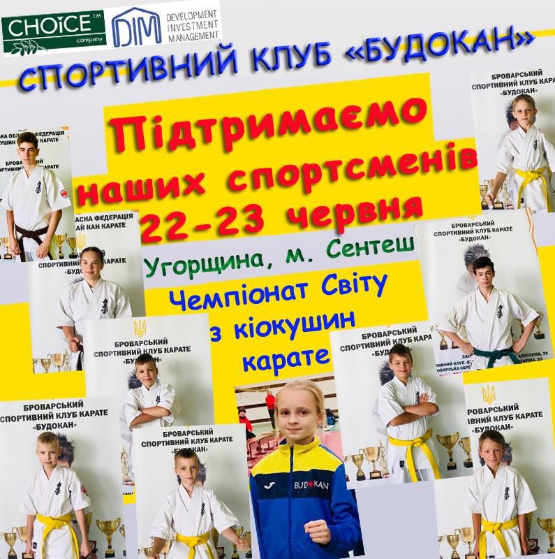 ЧС з кіокушин карате, Угорщина. Фото