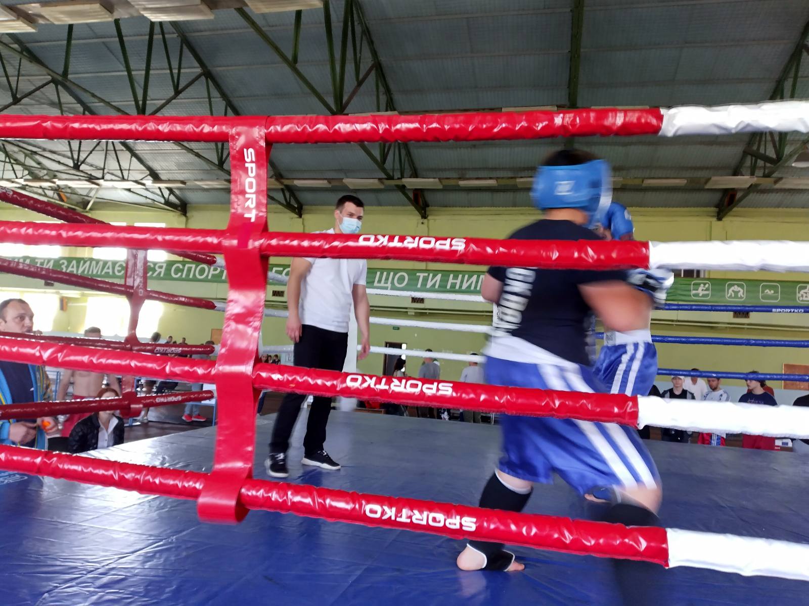 відкритий чемпіонат Київської області з кікбоксингу WKA. фото